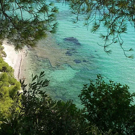 Dryades Hotel 3*