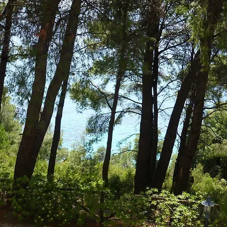 Dryades Hotel Siviri