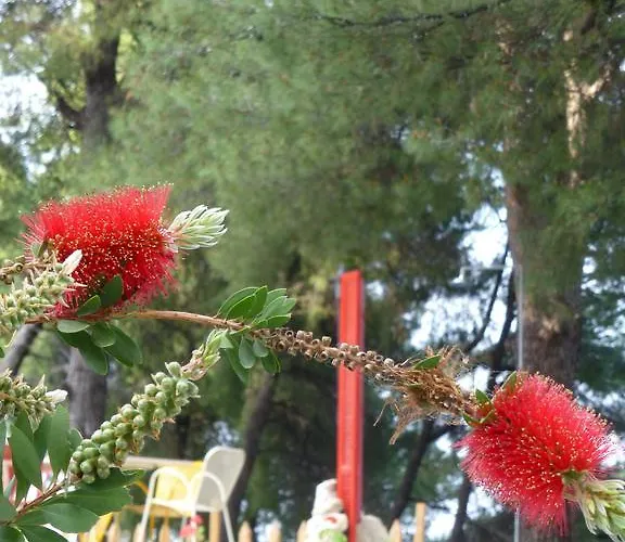 Dryades מלון