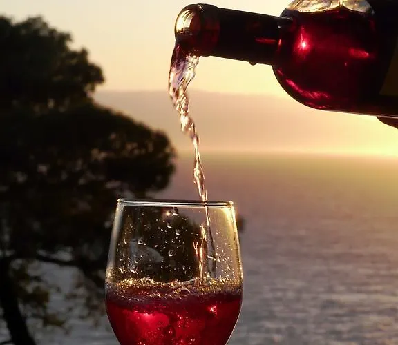 Hotel Dryades Siviri